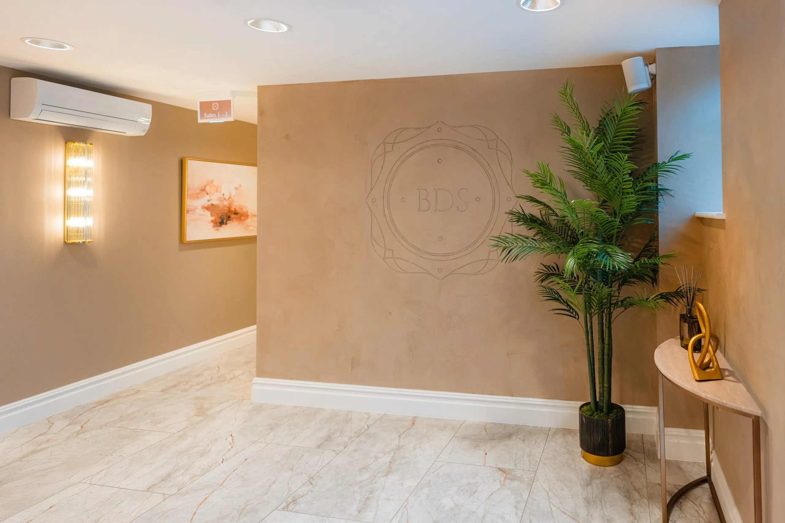 Textured plaster feature wall and planting in the corridor at Bromsgrove Dental Specialists